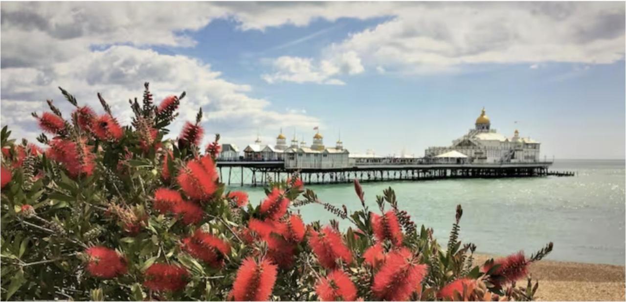 Burlington Palace Eastbourne Seafront Villa With Garden. Eksteriør billede